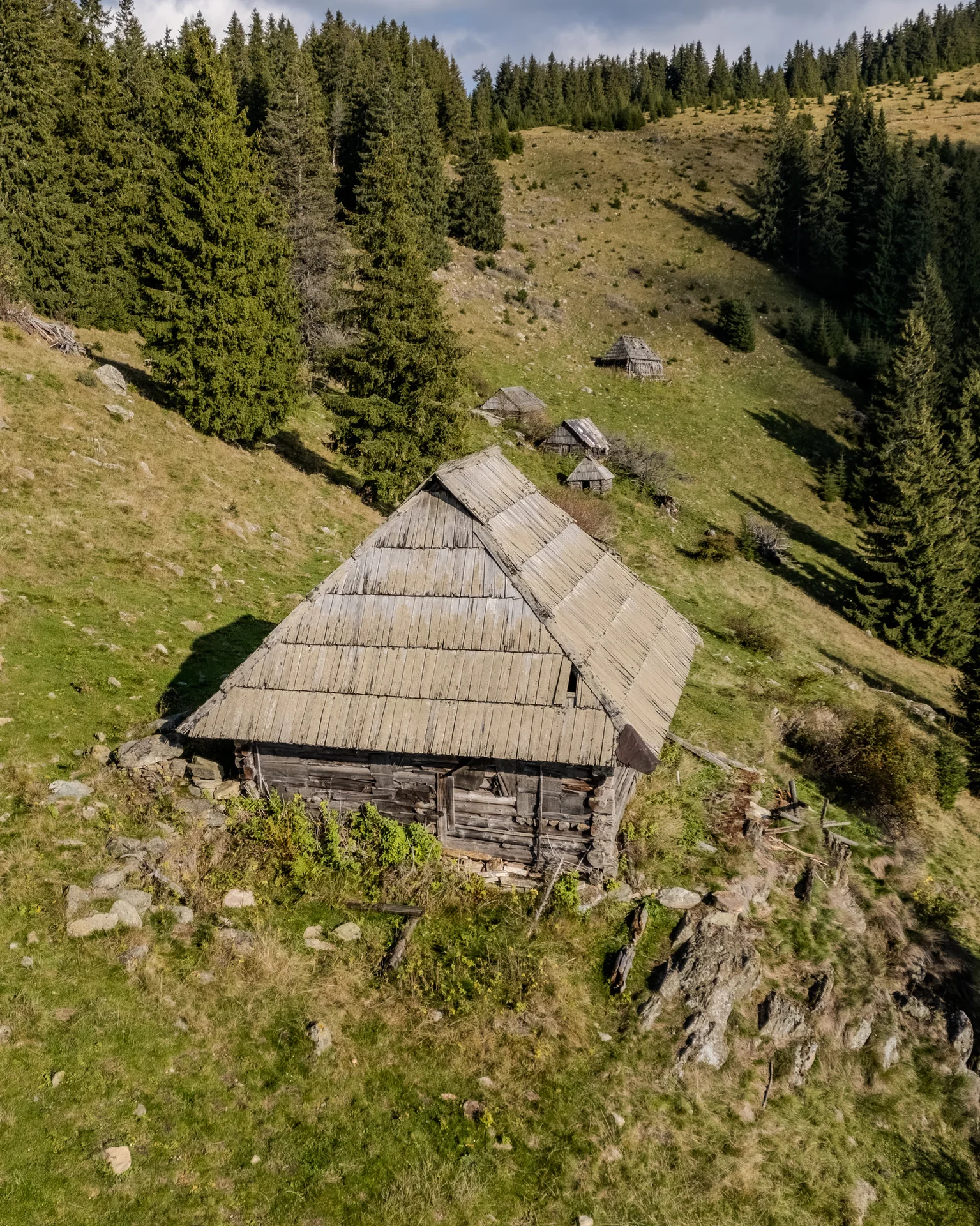 Stână