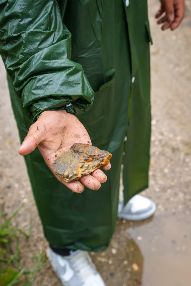 Tur geologic: roci și sedimente din pârâurile Sălătruc și Maleia