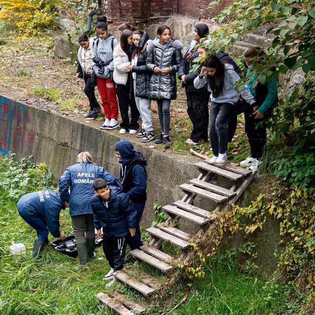 Picnic pe Maleia: am adoptat un kilometru din pârâul Maleia