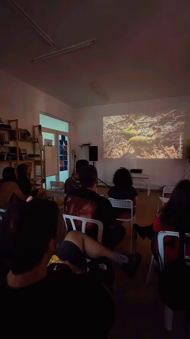 IEFF, ediția a 5-a: festival de film și eco-performance la Petroșani