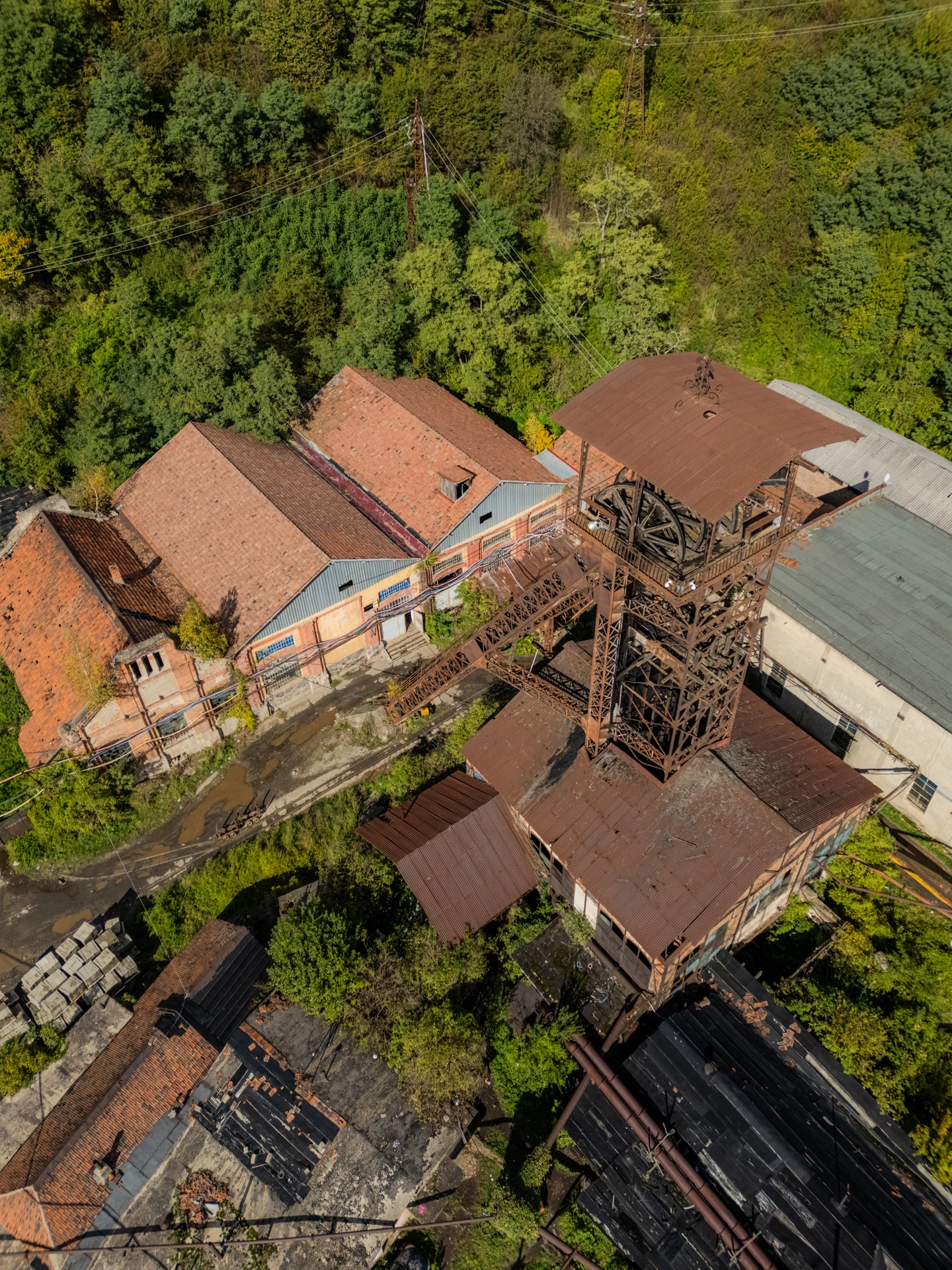 Mina Vulcan - Puțul Chorin