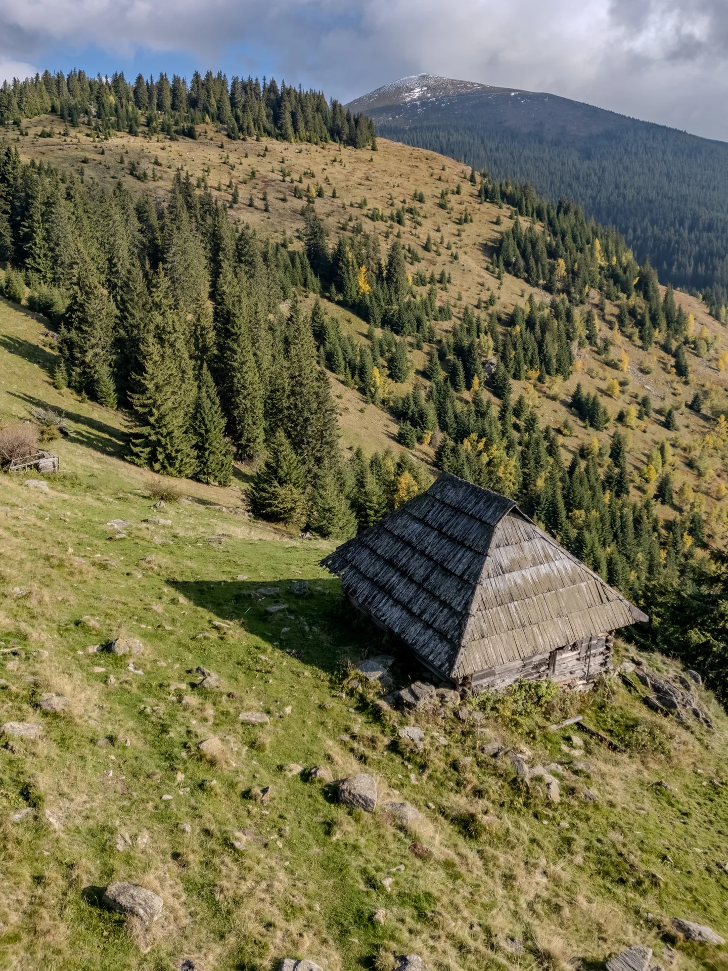 Stână
