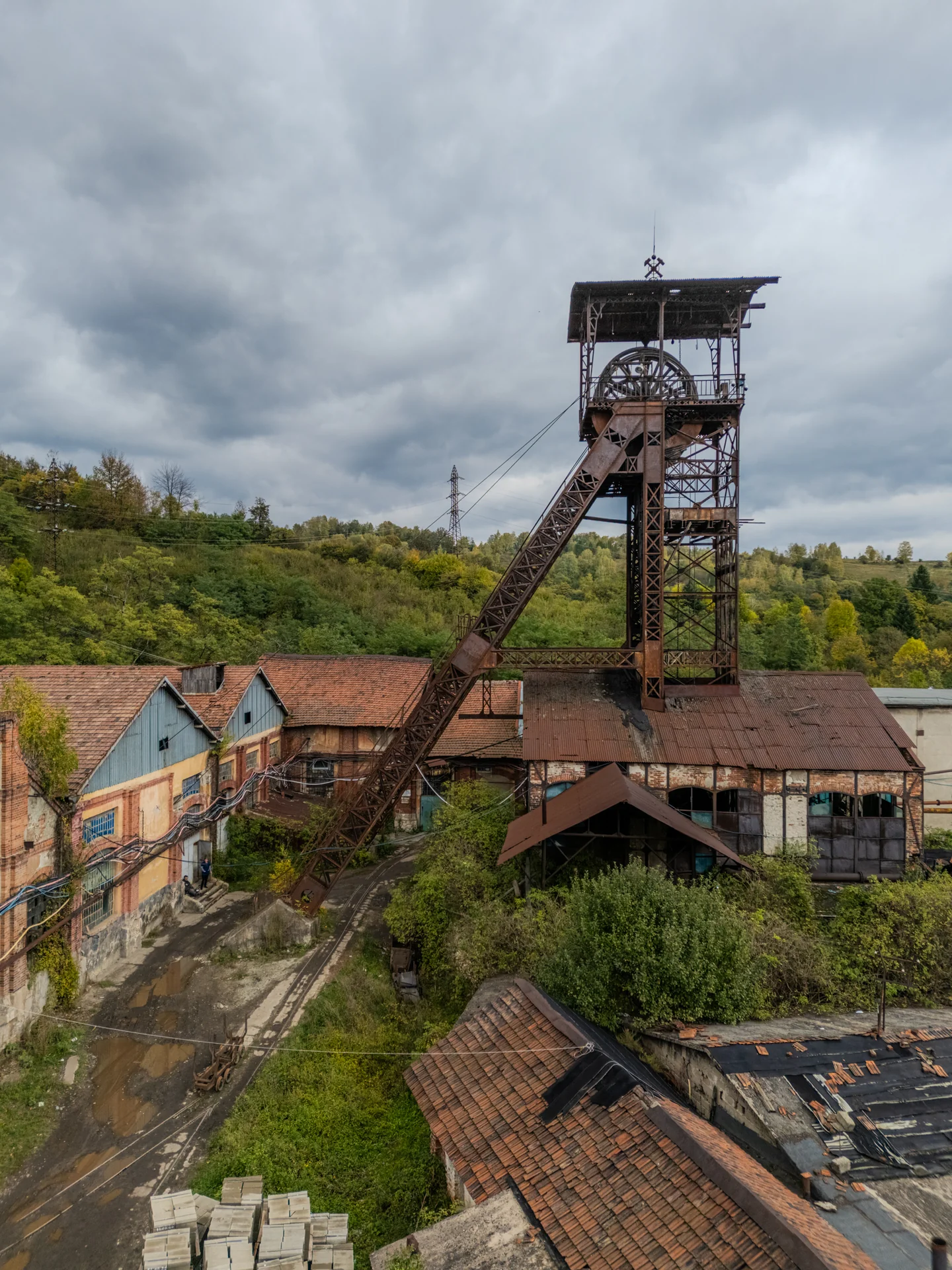Mina Vulcan - Puțul Chorin