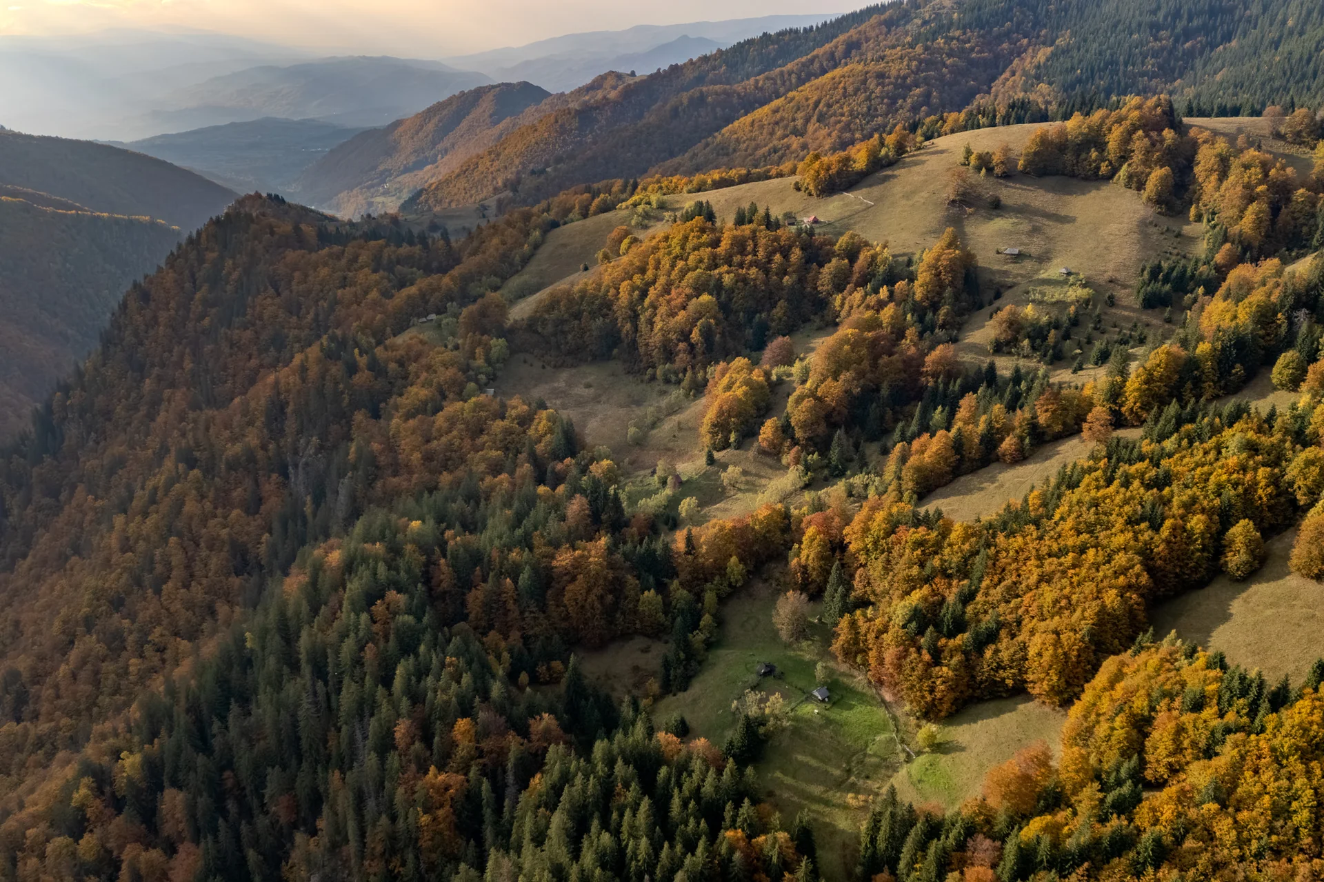 Stână