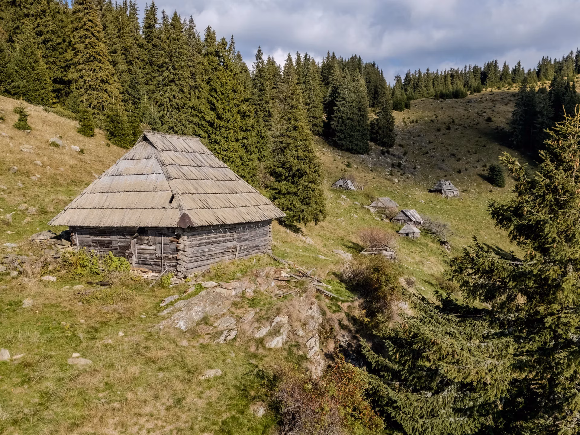 Stână