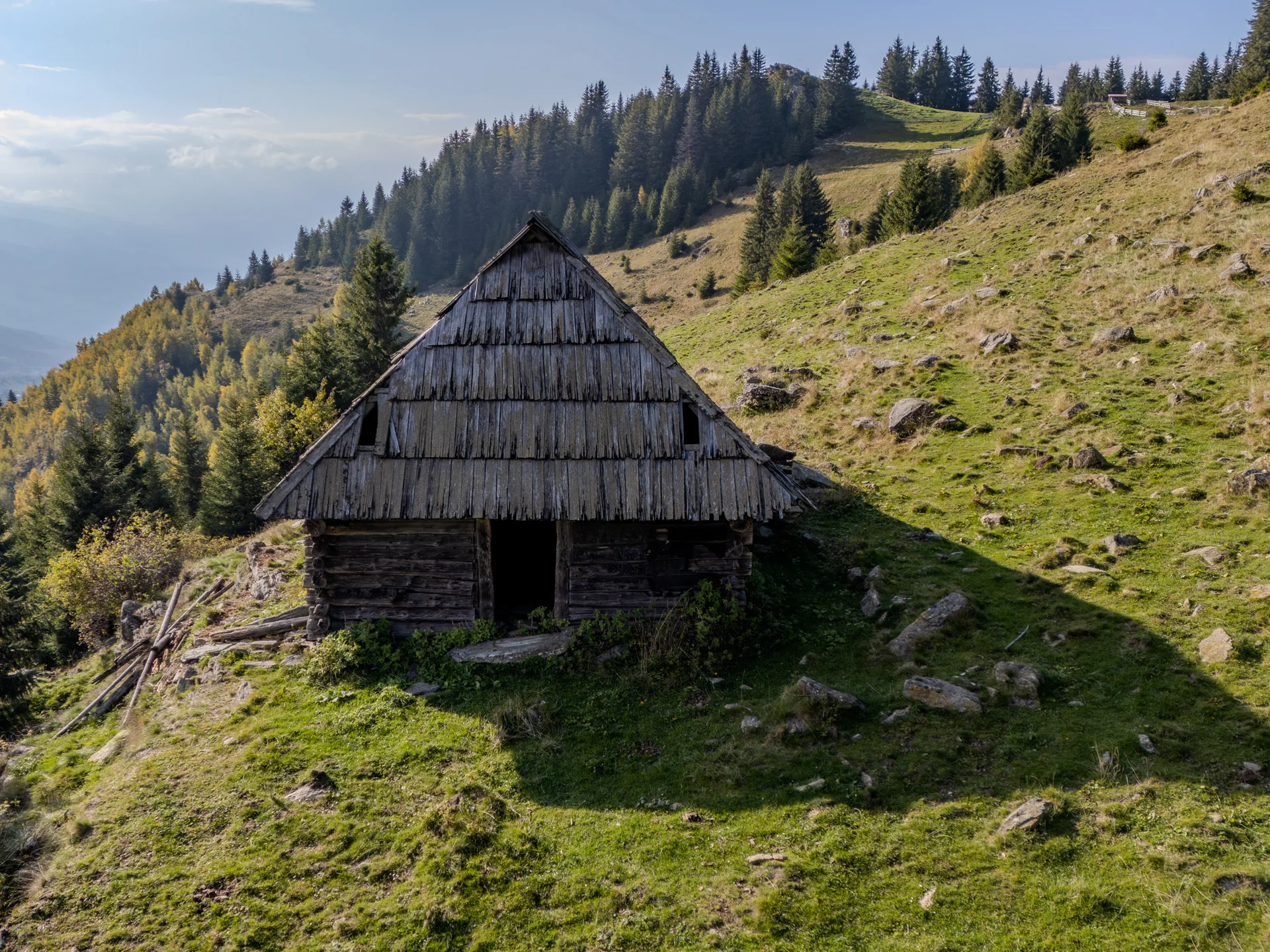 Stână