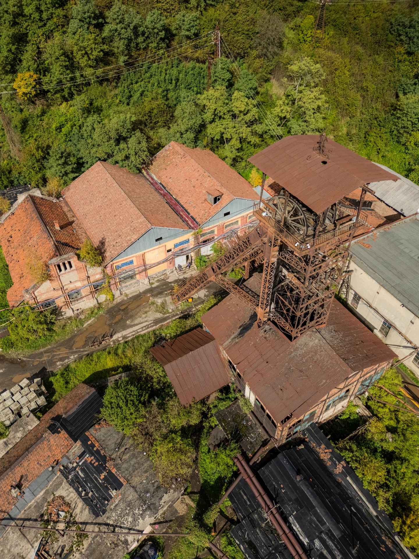 Mina Vulcan - Puțul Chorin