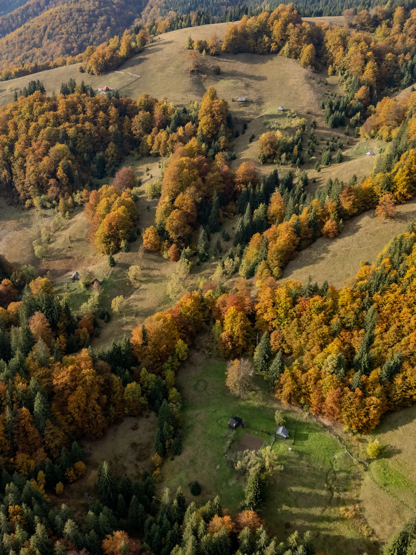 Stână